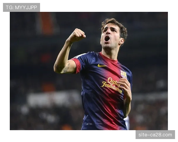 前西班牙国脚法布雷加斯确认赛季末从科莫退役 前西班牙国脚法布雷加斯确认赛季末从科莫退役